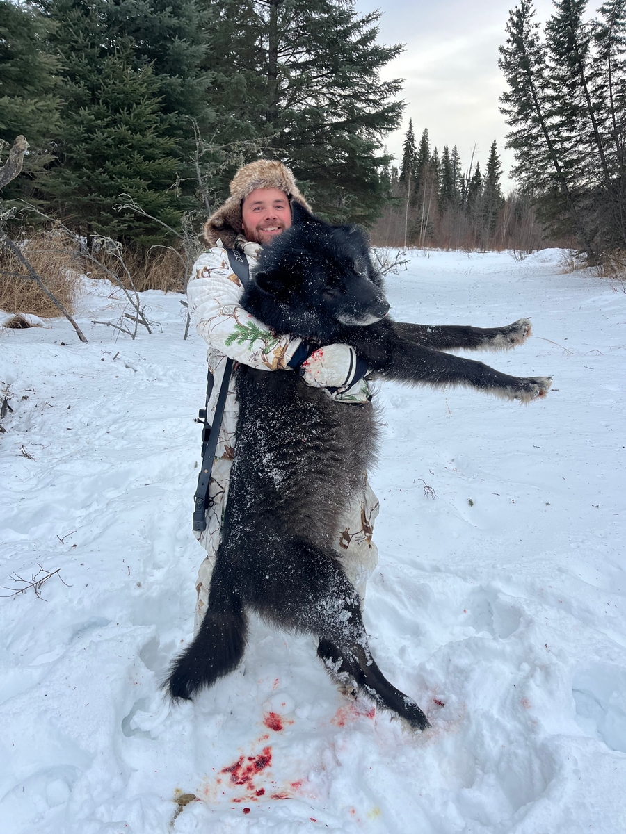 Wolf and Coyote Hunts